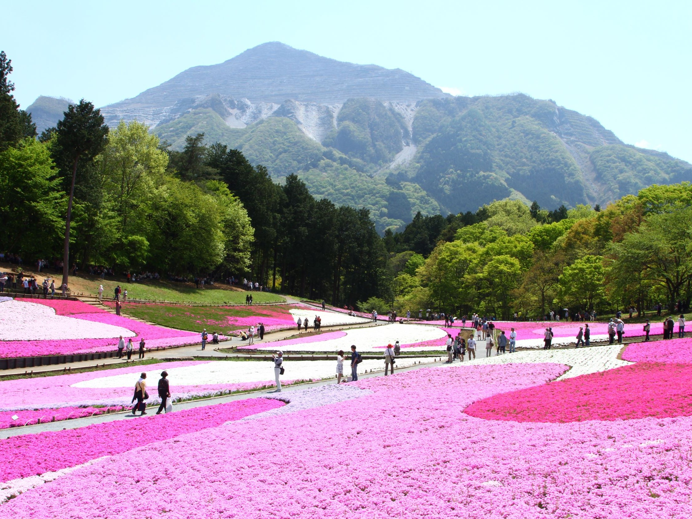 羊山公園