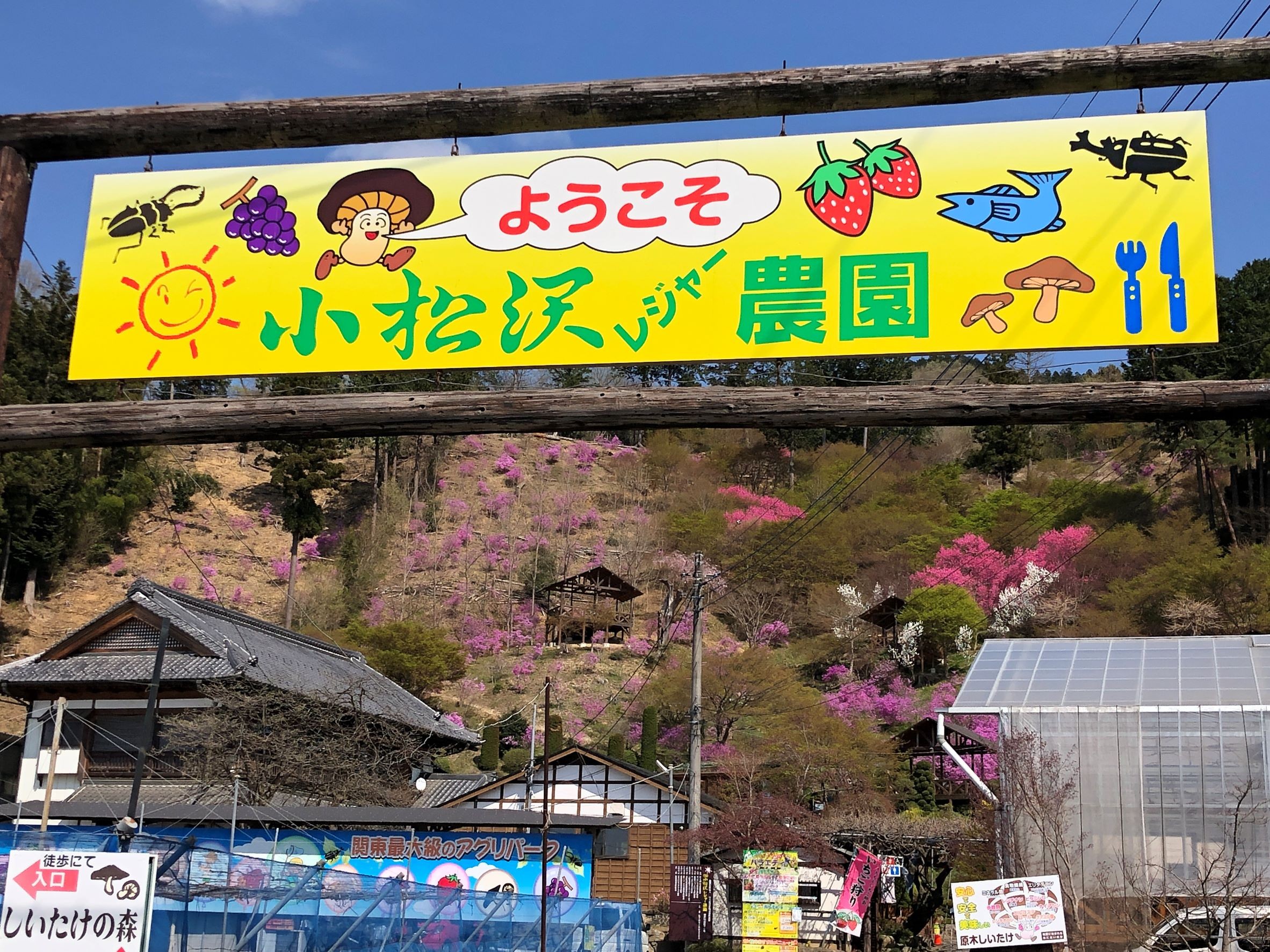 小松沢レジャー農園